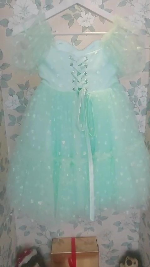 cocobee – Princess Aurora Mint Heart Corset Tulle Dress – frame